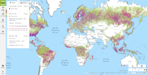 Global Forest Watch